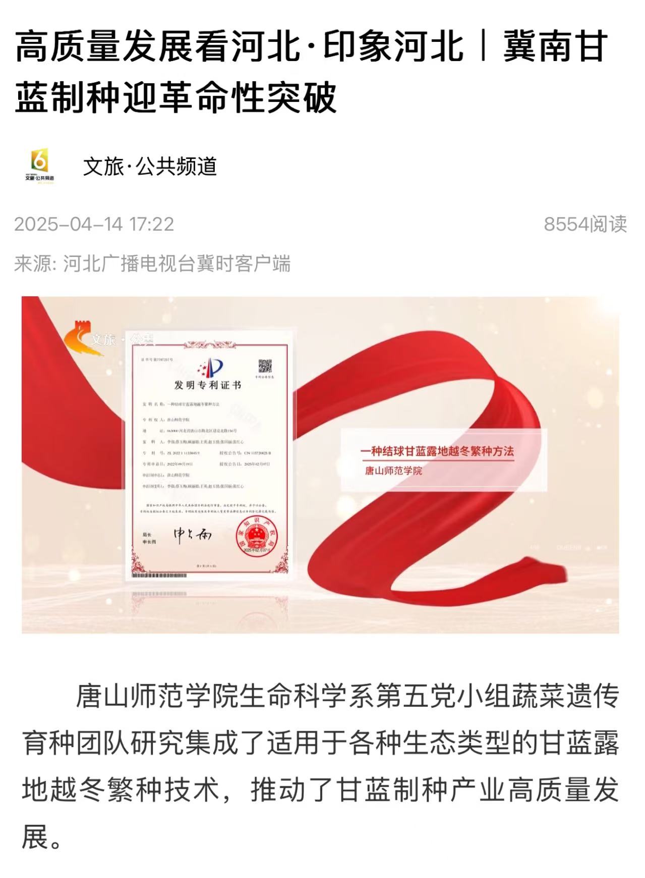 《冀時》——高質(zhì)量發(fā)展看河北·印象河北｜冀南甘藍(lán)制種迎革命性突破