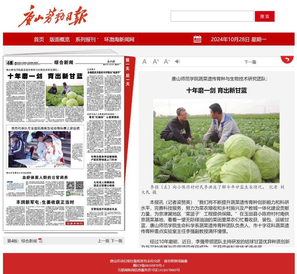 《唐山勞動日報》——唐山師范學院蔬菜遺傳育種與生物技術研究團隊：十年磨一劍 育出新甘藍