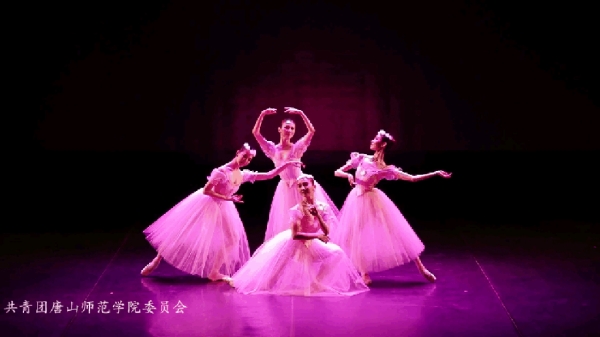 中央芭蕾舞團“2017高雅藝術進校園”活動走進我校